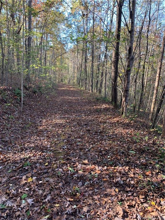 0 Whiteside Road Rutherfordton, NC 28139 - Photo 7 of 13