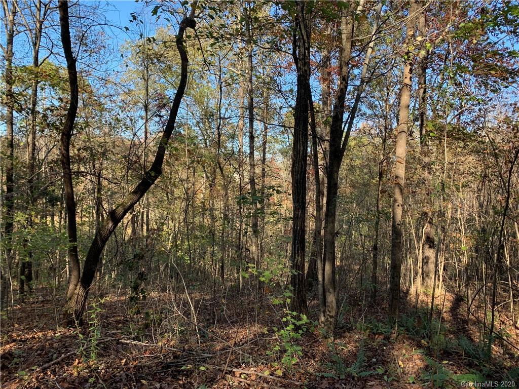 0 Whiteside Road Rutherfordton, NC 28139 - Photo 8 of 13