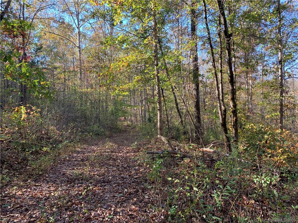0 Whiteside Road Rutherfordton, NC 28139 - Photo 9 of 13