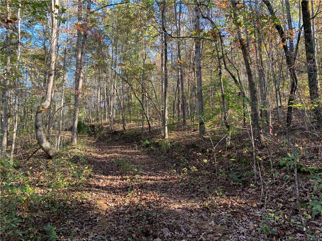 0 Whiteside Road Rutherfordton, NC 28139 - Photo 10 of 13