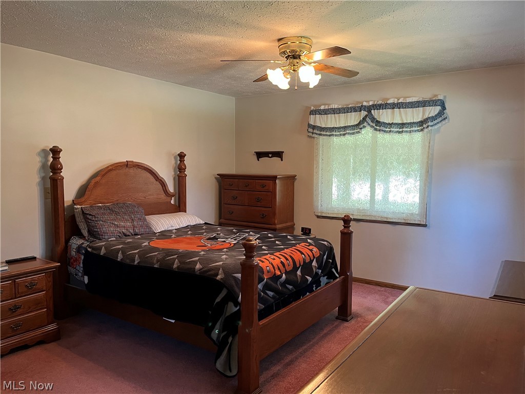 13604 Alexander Road Cleveland, OH 44125 - Photo 23 of 49 Carpeted Master Bedroom.