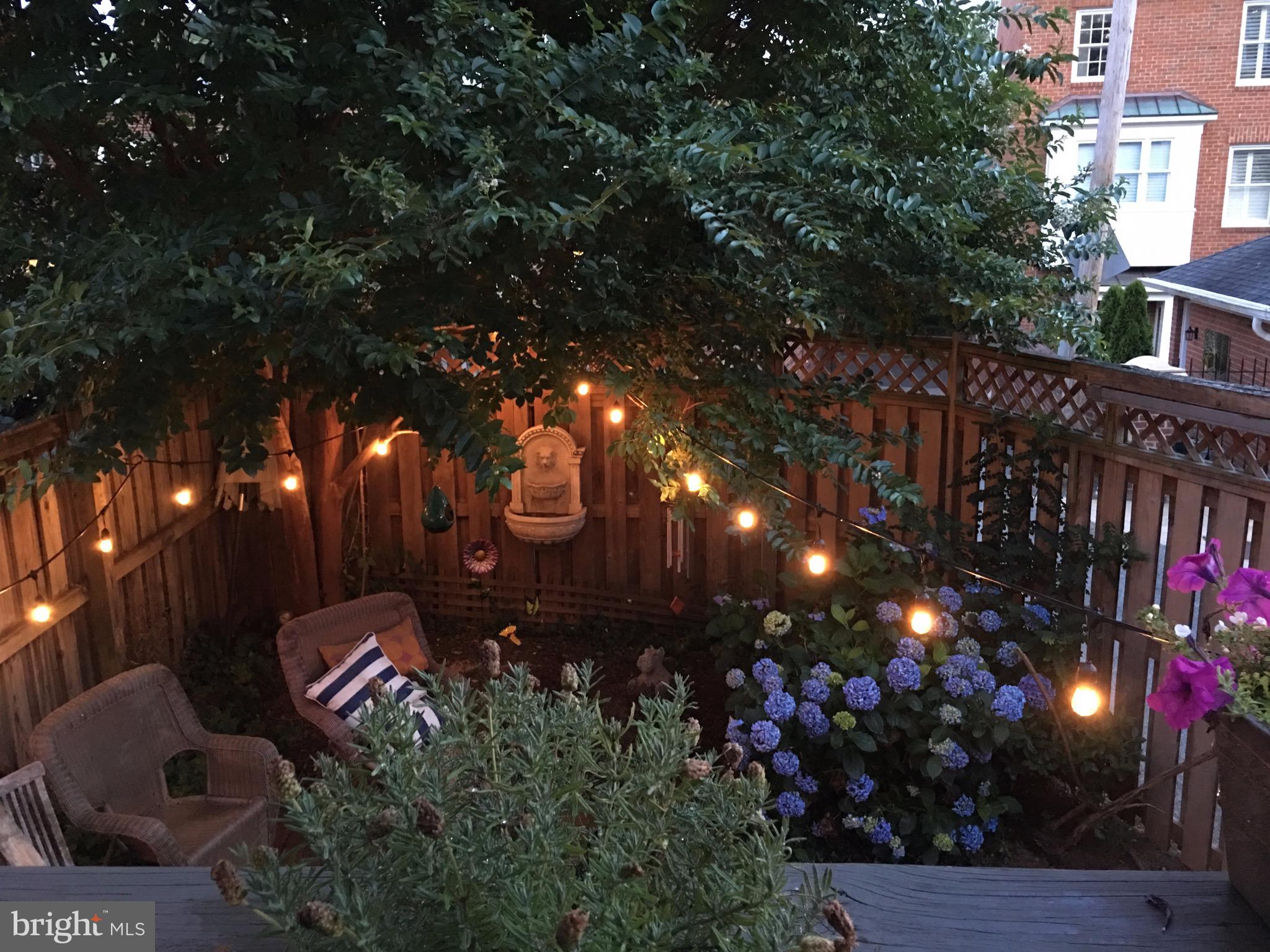 4478 Reservoir Road Northwest Washington, DC 20007 - Photo 28 of 30 Gallery Image 28