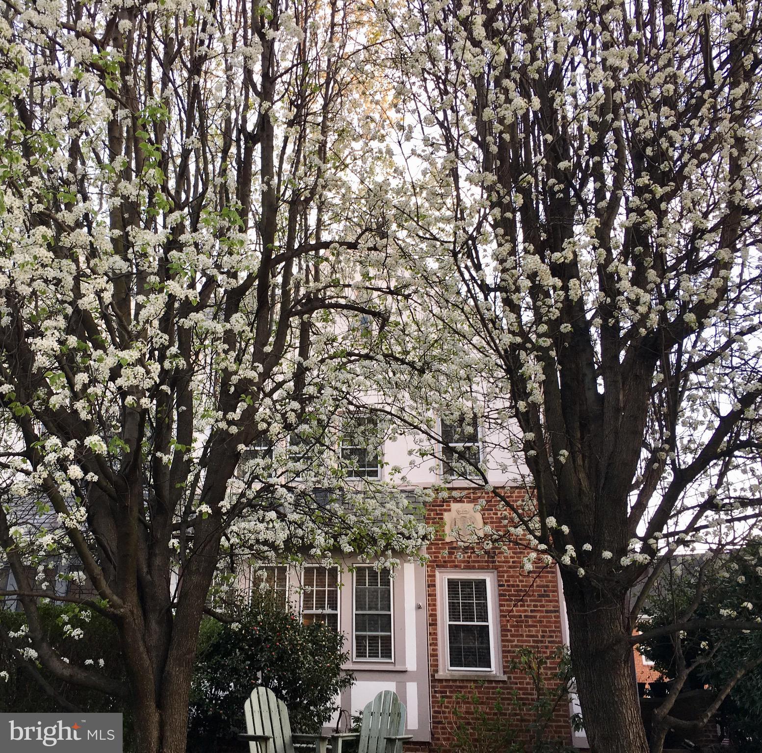 4478 Reservoir Road Northwest Washington, DC 20007 - Photo 29 of 30 Gallery Image 29