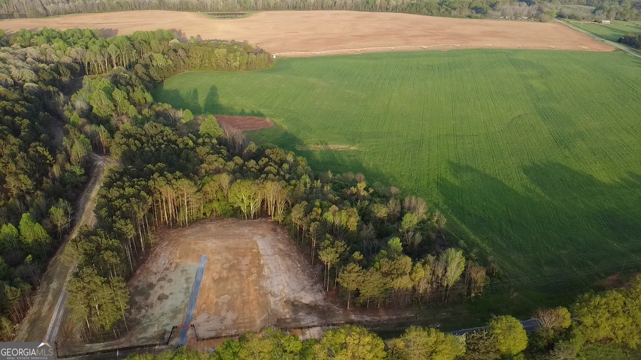 Tract 6 Ramah Church Road, Unit 6 Barnesville, GA 30204 - Photo 2 of 4 a view of a yard