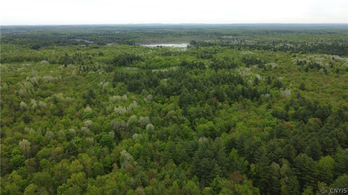 0 Cotton Road Carthage, NY 13619 - Photo 15 of 48