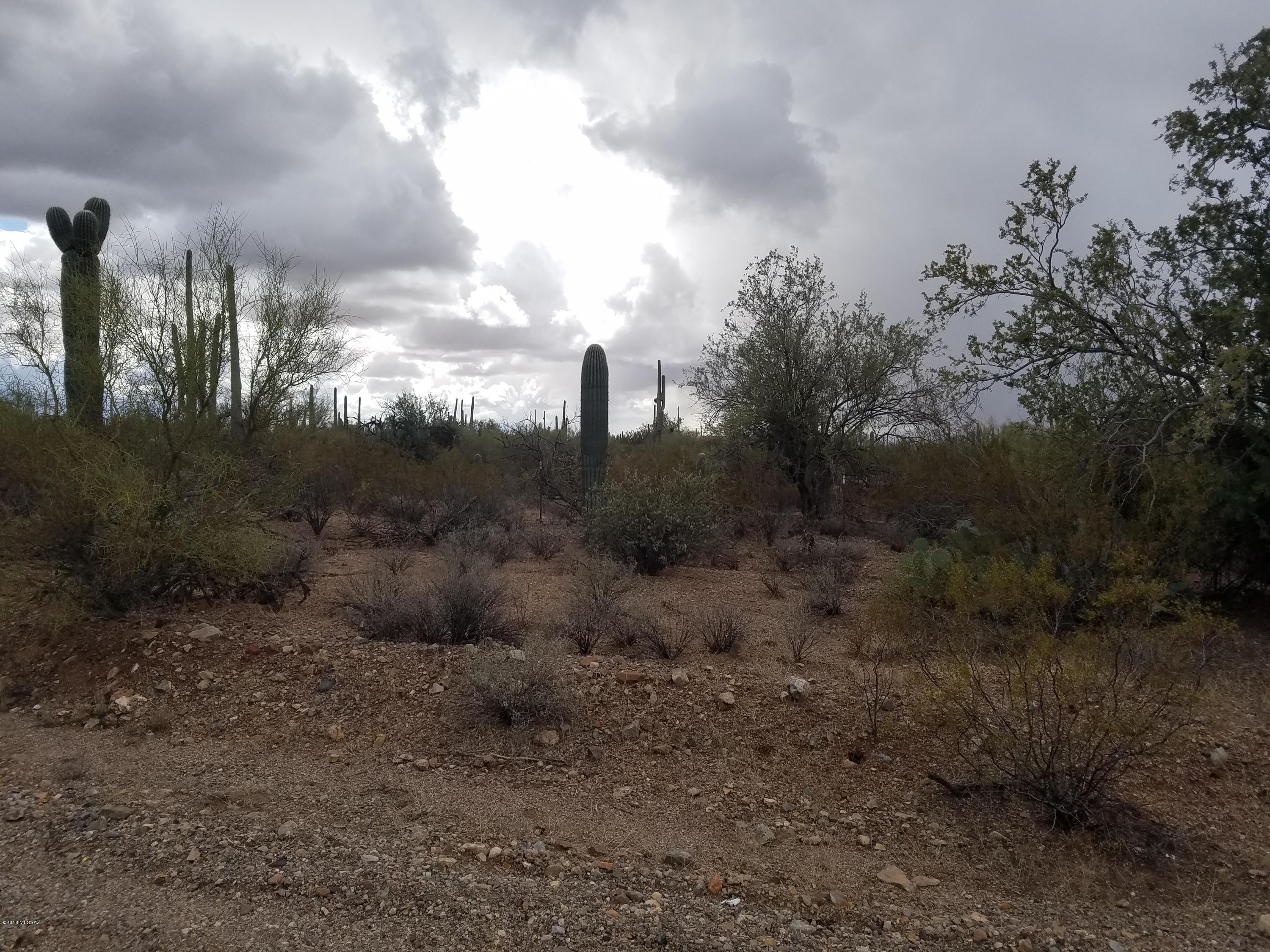 0 West Mile Wide Road Tucson, AZ 85743 - Photo 4 of 11