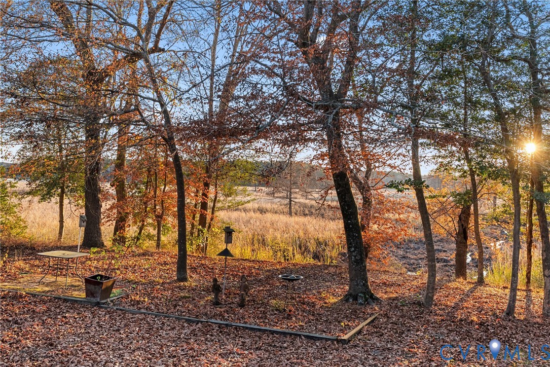 276 Colony Trail Lanexa, VA 23089 - Photo 9 of 43