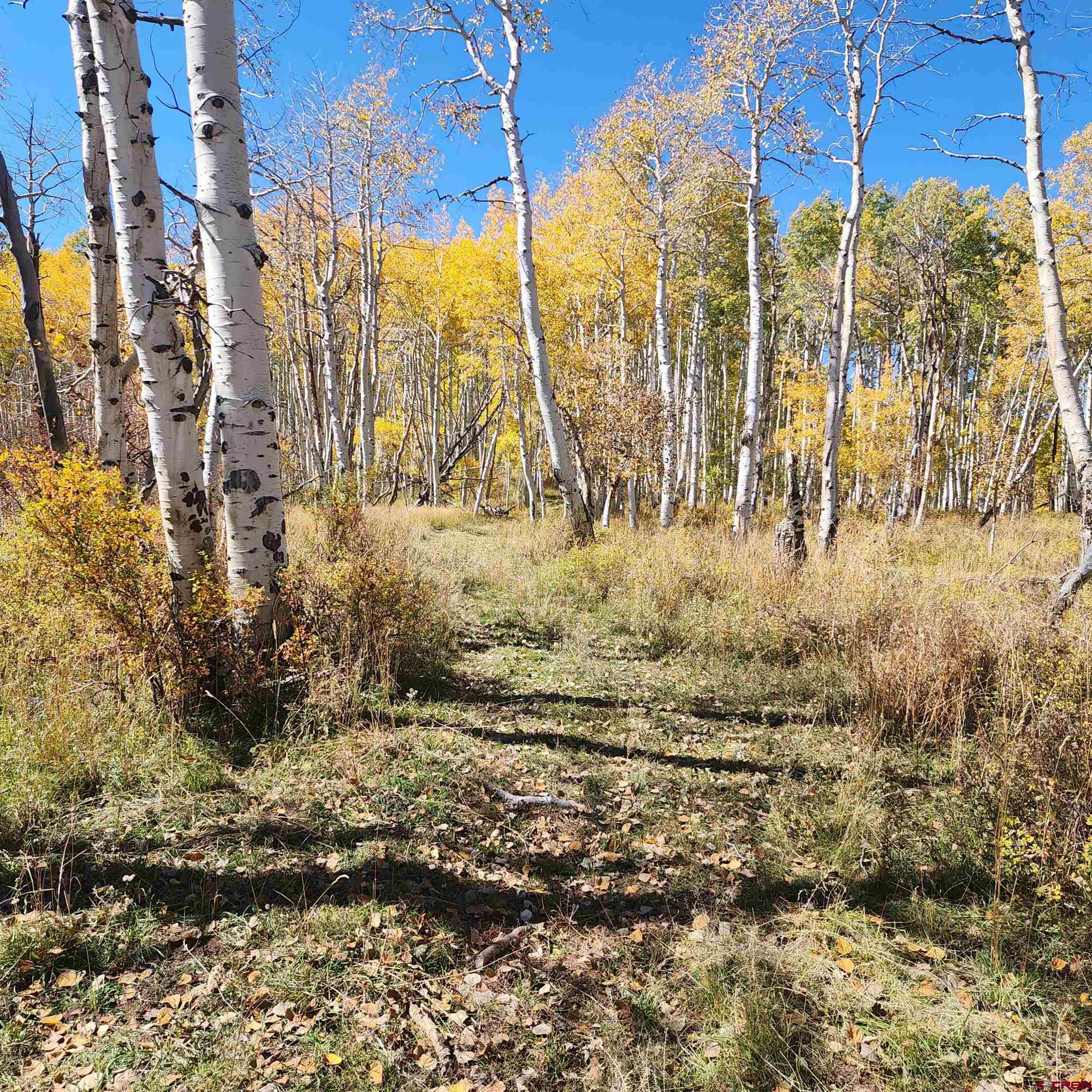 Parcel 1-2 Zs Road Whitewater, CO 81527 - Photo 15 of 27 a view of a yard with wooden fence