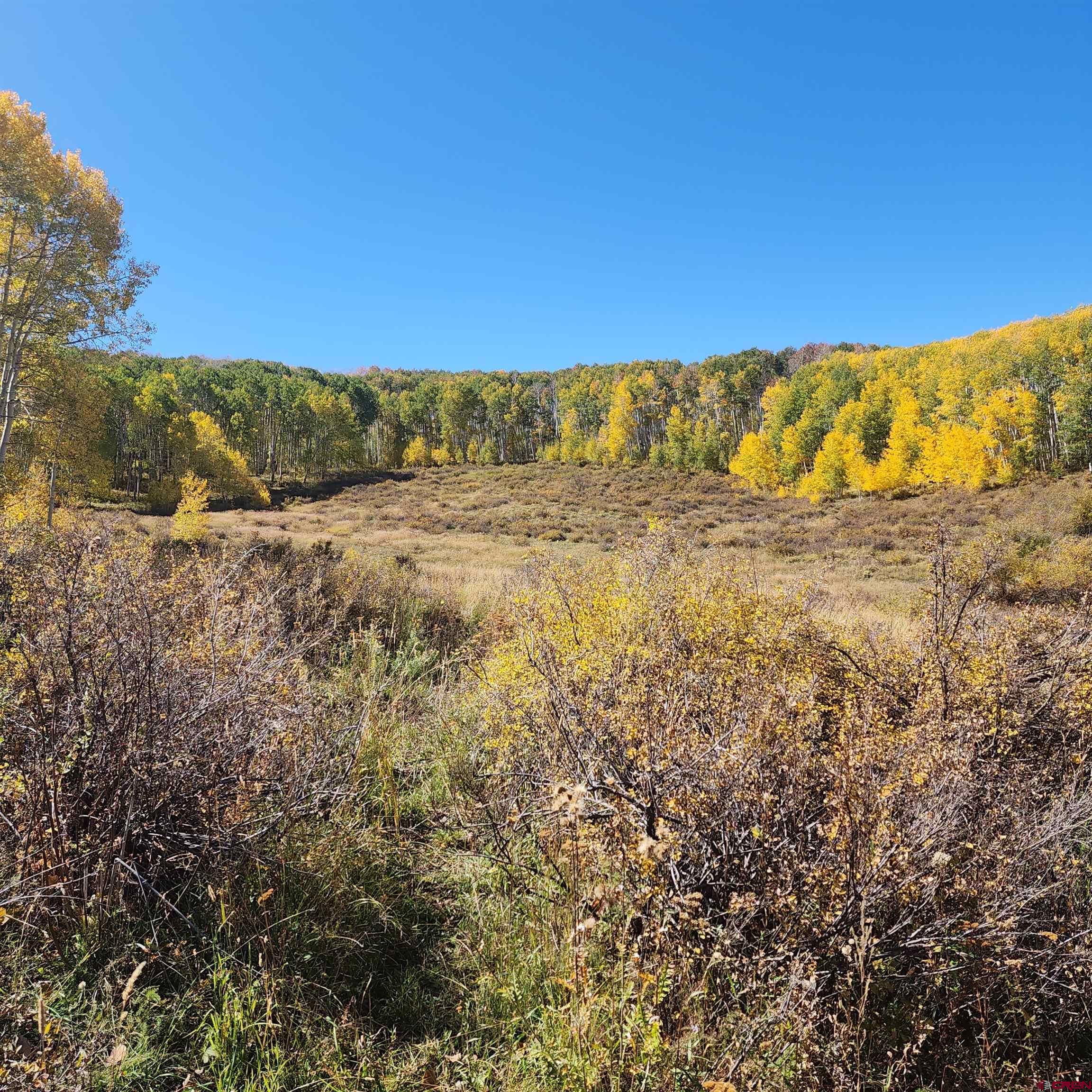 Parcel 1-2 Zs Road Whitewater, CO 81527 - Photo 17 of 27
