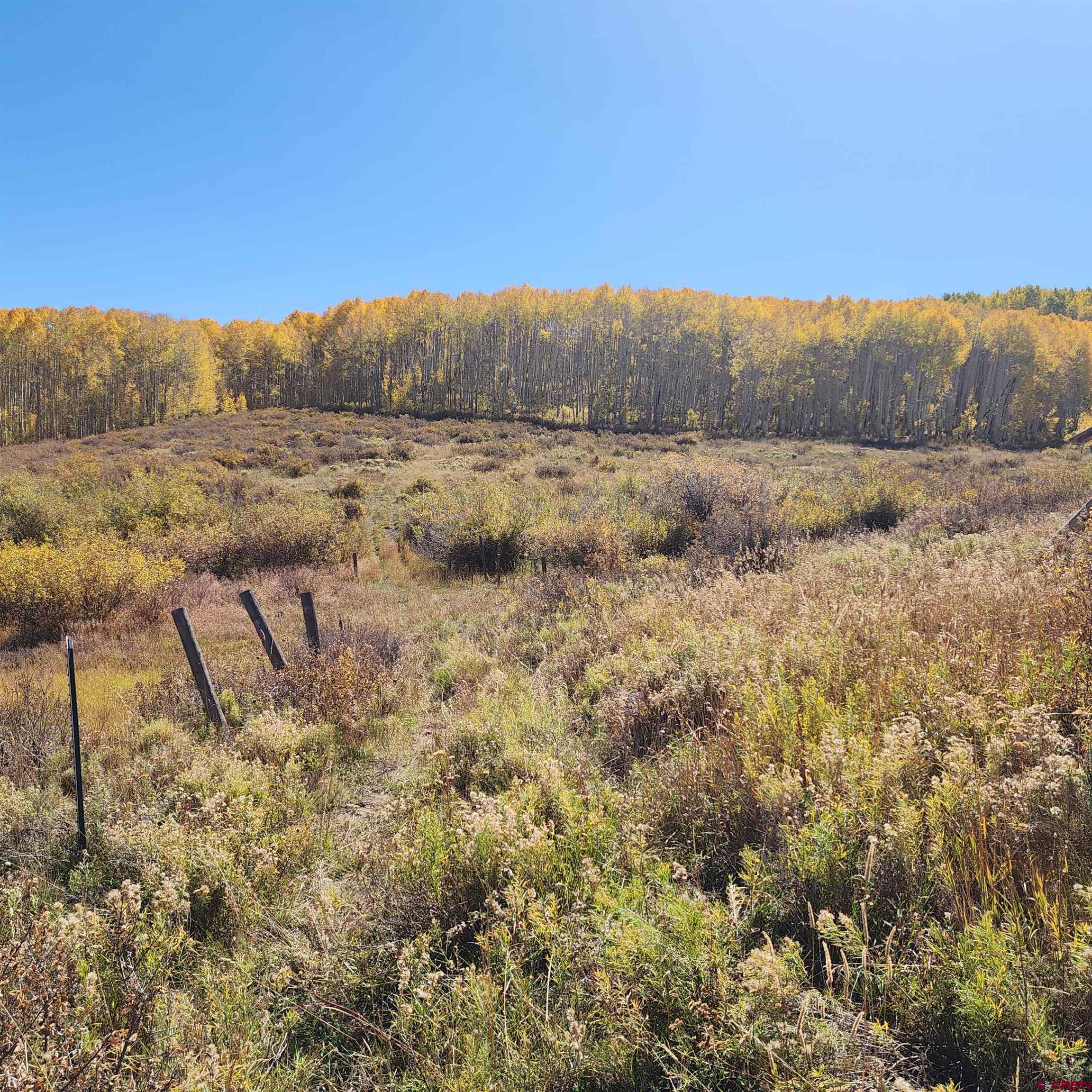 Parcel 1-2 Zs Road Whitewater, CO 81527 - Photo 24 of 27
