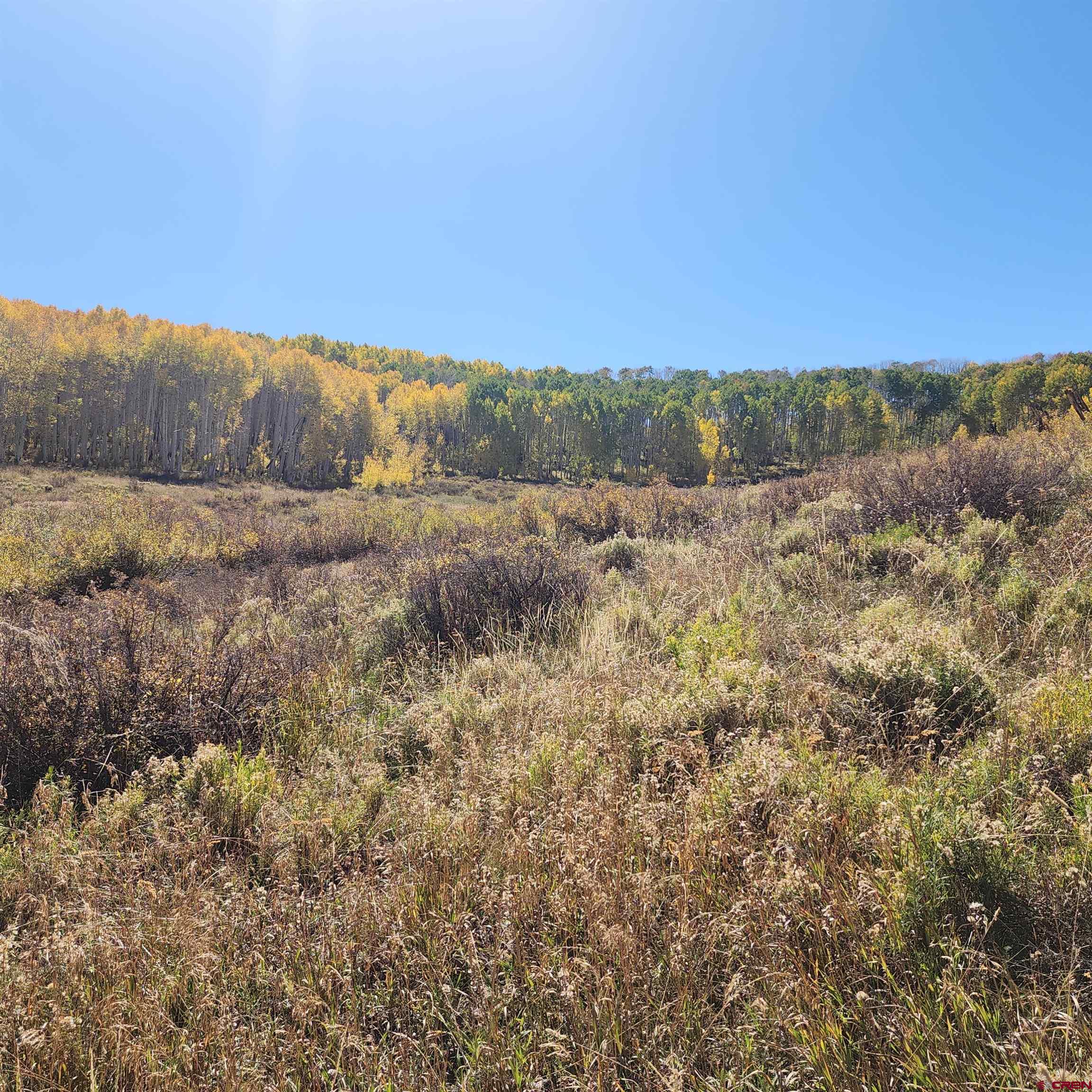 Parcel 1-2 Zs Road Whitewater, CO 81527 - Photo 27 of 27 a view of an outdoor space with mountain view