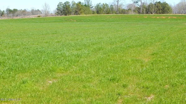 $69,600 | 7 Graysport Crossing Road, Gore Springs, MS 38929
