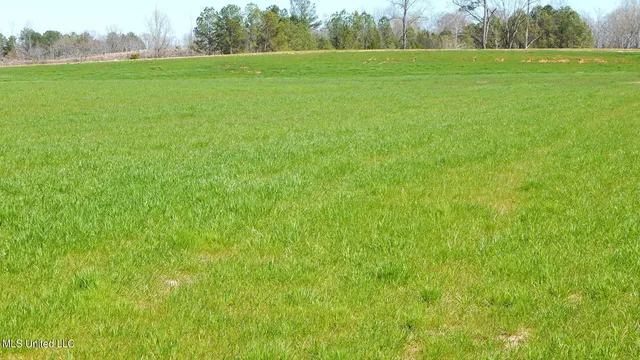 $69,600 | 7 Graysport Crossing Road, Gore Springs, MS 38929