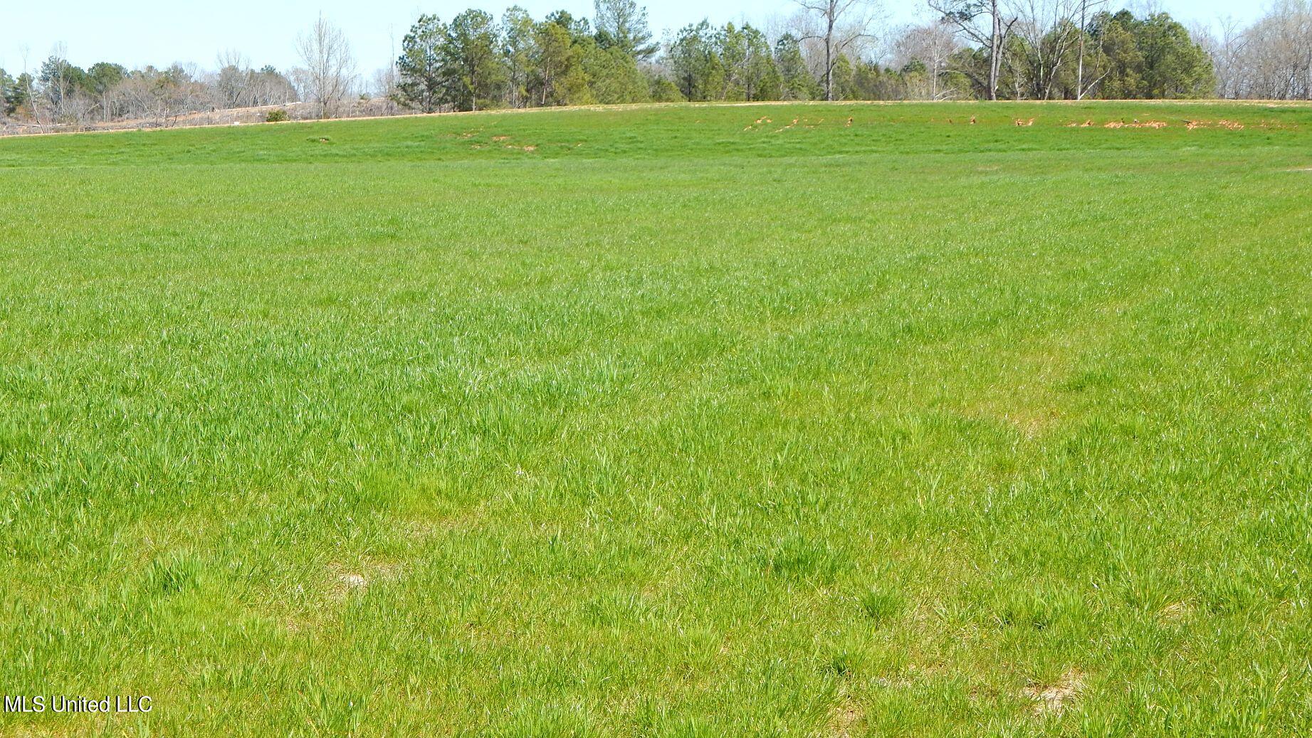 7 Graysport Crossing Road Gore Springs, MS 38929 - Photo 1 of 11 Lot 7