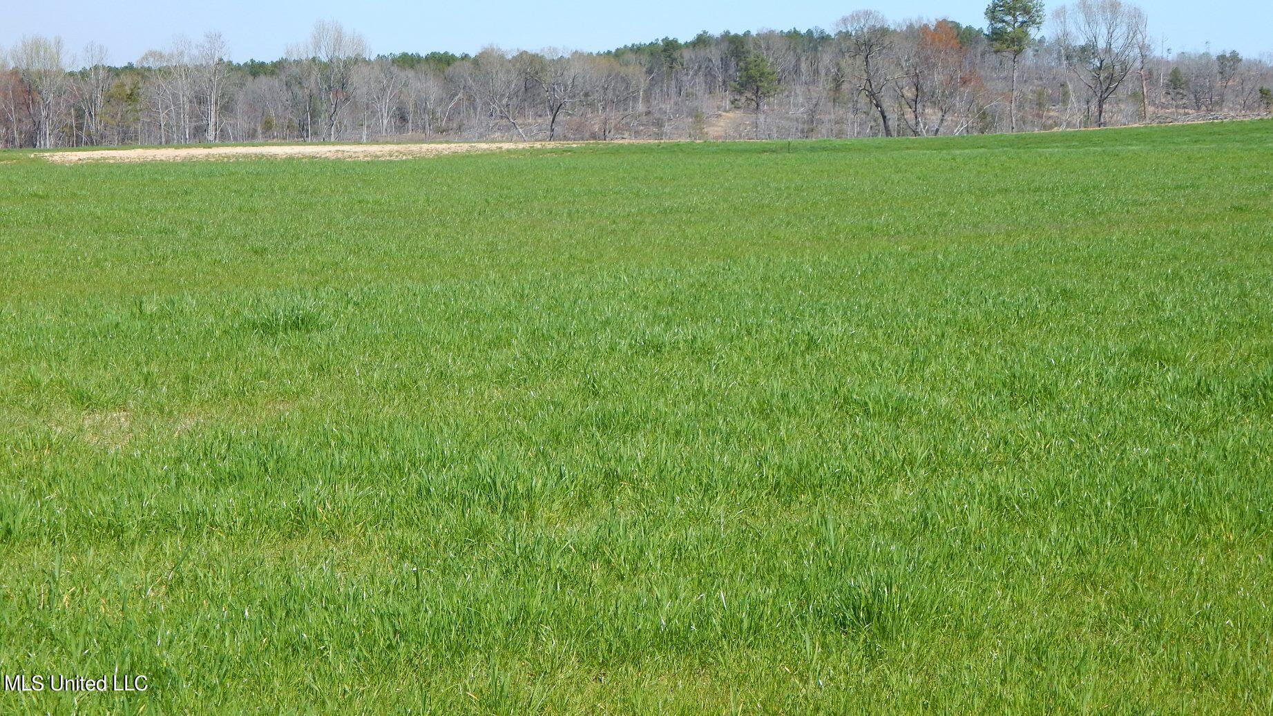 7 Graysport Crossing Road Gore Springs, MS 38929 - Photo 2 of 11 DSCN4968
