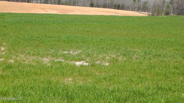 $69,600 | 7 Graysport Crossing Road, Gore Springs, MS 38929