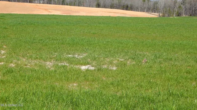 $69,600 | 7 Graysport Crossing Road, Gore Springs, MS 38929