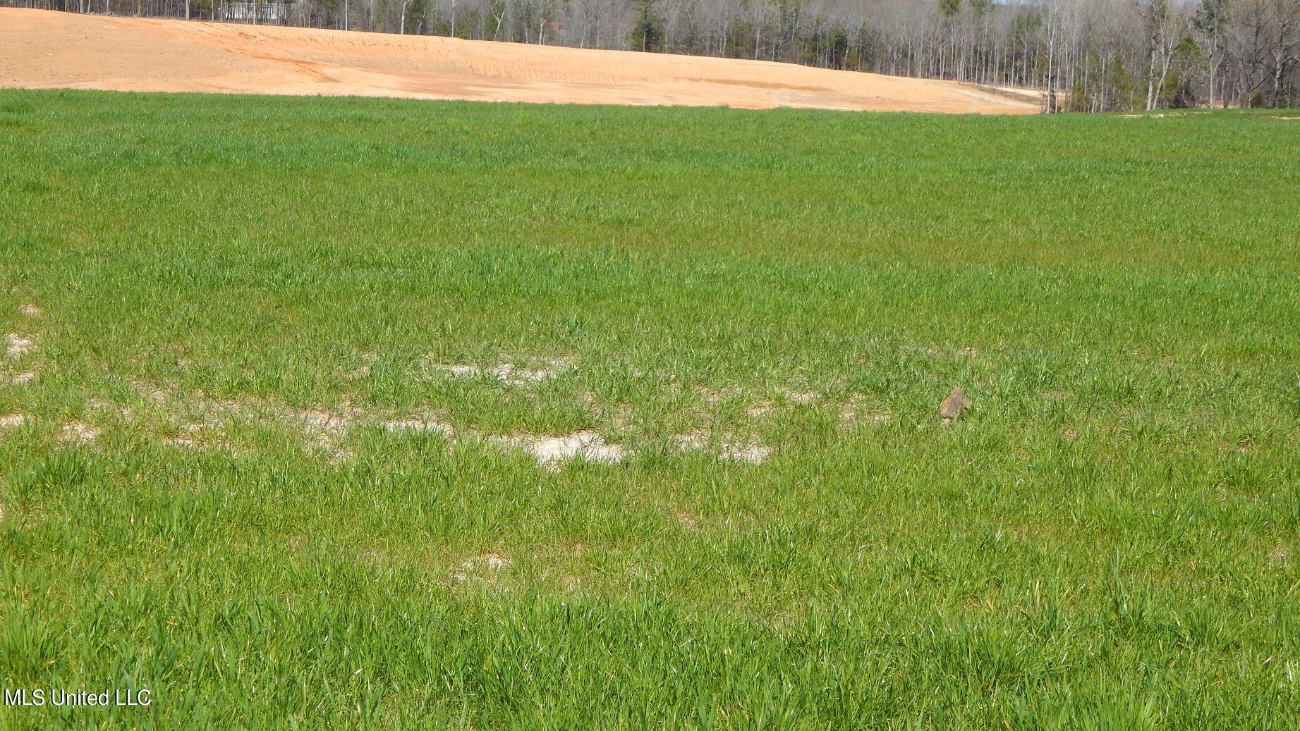 7 Graysport Crossing Road Gore Springs, MS 38929 - Photo 3 of 11 DSCN4969