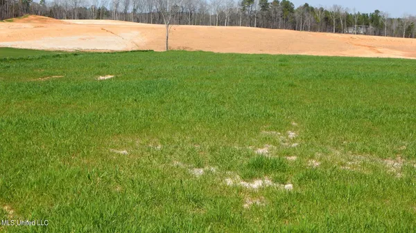 $69,600 | 7 Graysport Crossing Road, Gore Springs, MS 38929