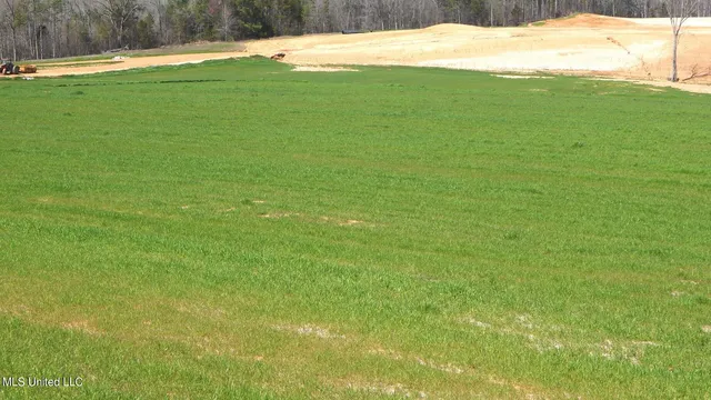 $69,600 | 7 Graysport Crossing Road, Gore Springs, MS 38929