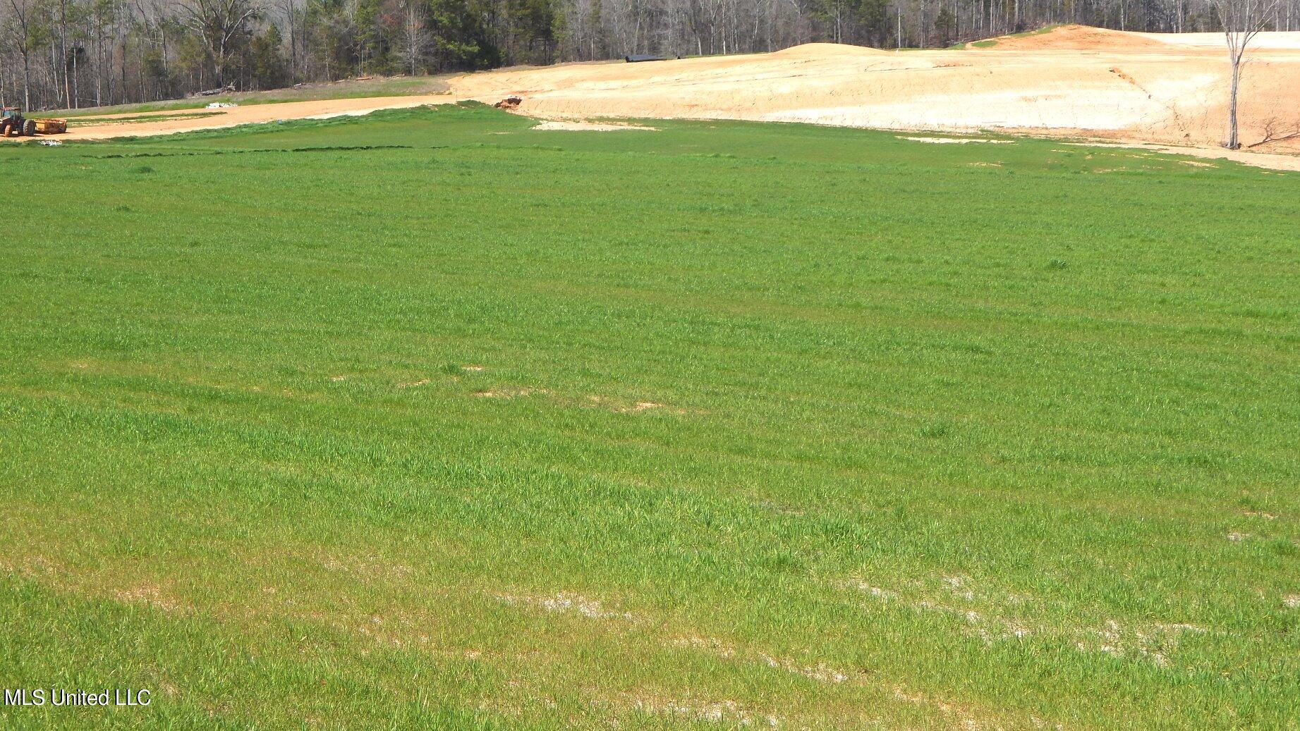 7 Graysport Crossing Road Gore Springs, MS 38929 - Photo 5 of 11 DSCN4971