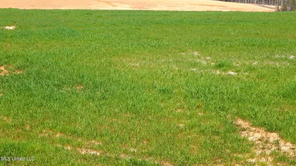 $69,600 | 7 Graysport Crossing Road, Gore Springs, MS 38929