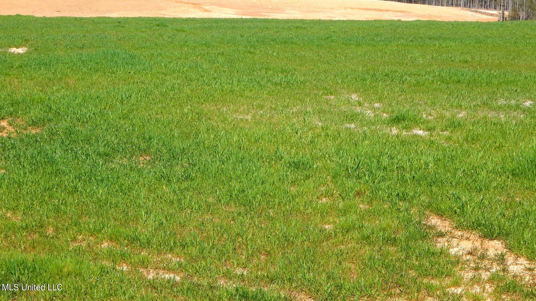 7 Graysport Crossing Road Gore Springs, MS 38929 - Photo 6 of 11 DSCN4966