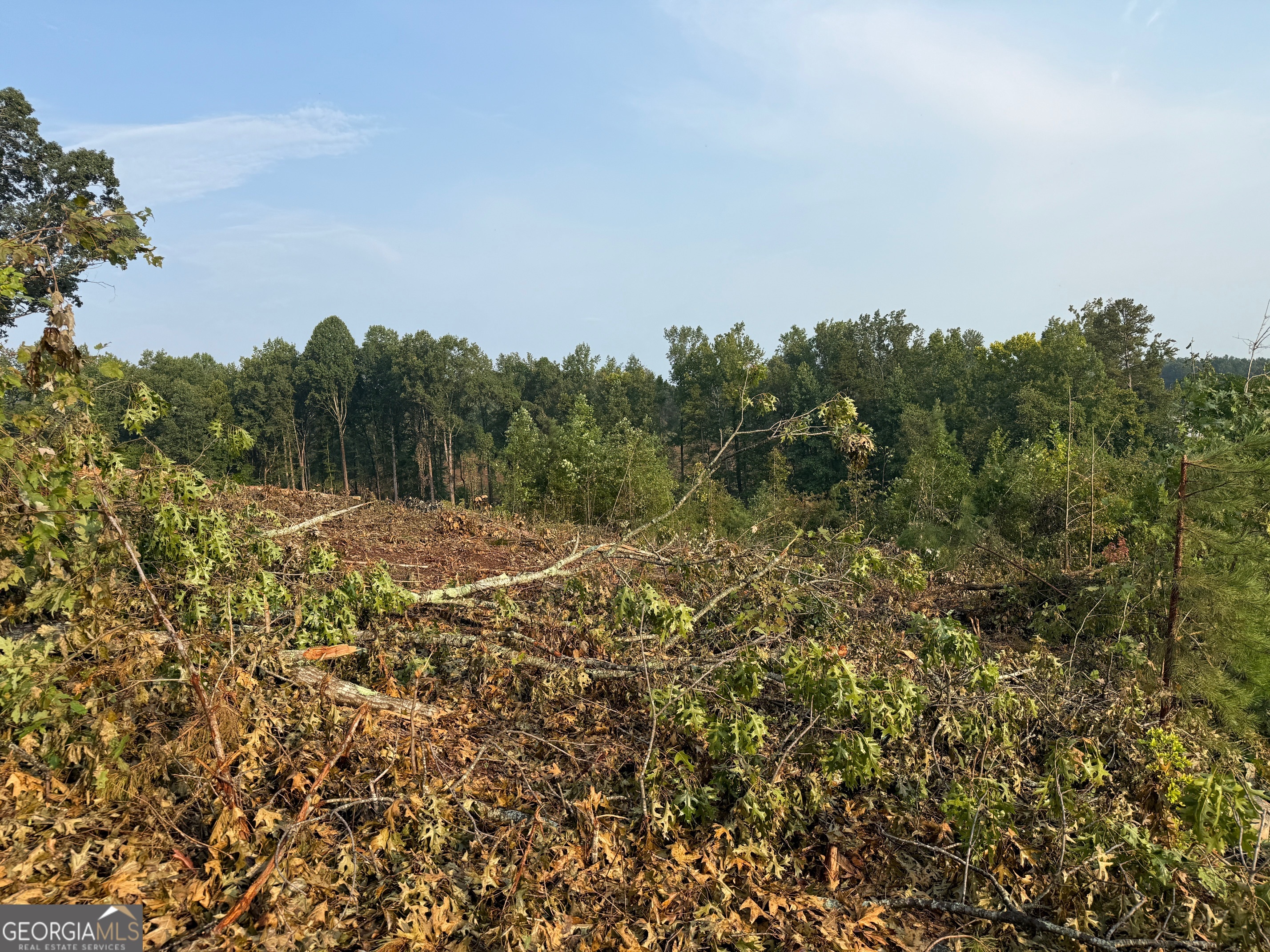 0 Us Highway Martin, GA 30557 - Photo 5 of 11