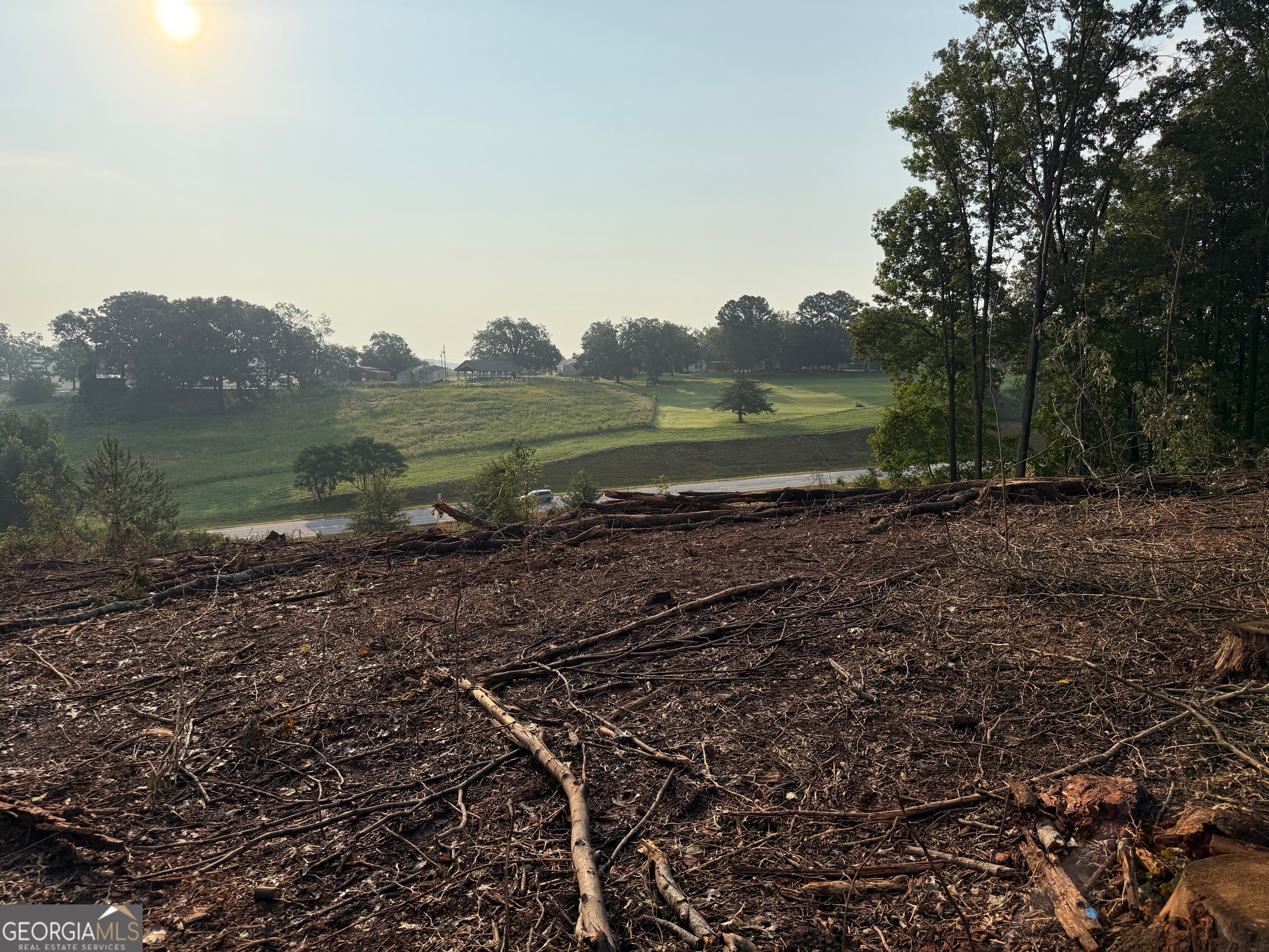 0 Us Highway Martin, GA 30557 - Photo 7 of 11