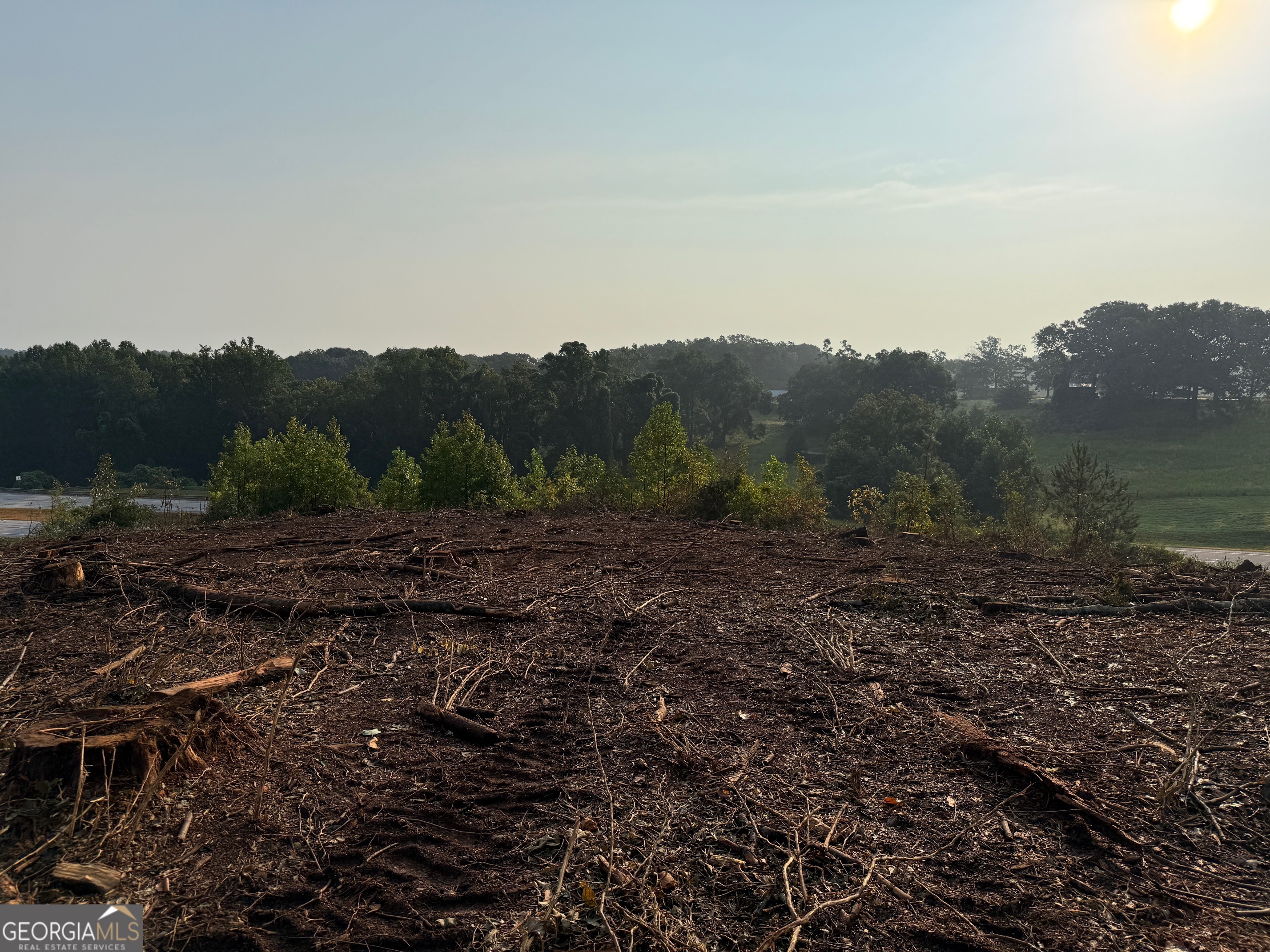 0 Us Highway Martin, GA 30557 - Photo 8 of 11