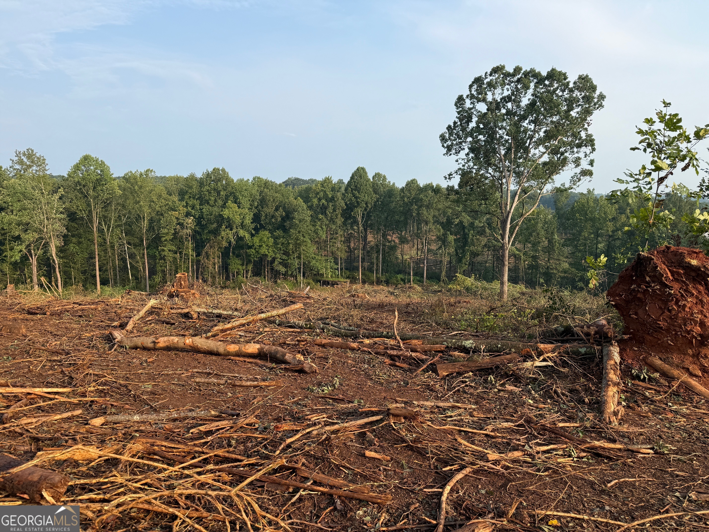 0 Us Highway Martin, GA 30557 - Photo 9 of 11
