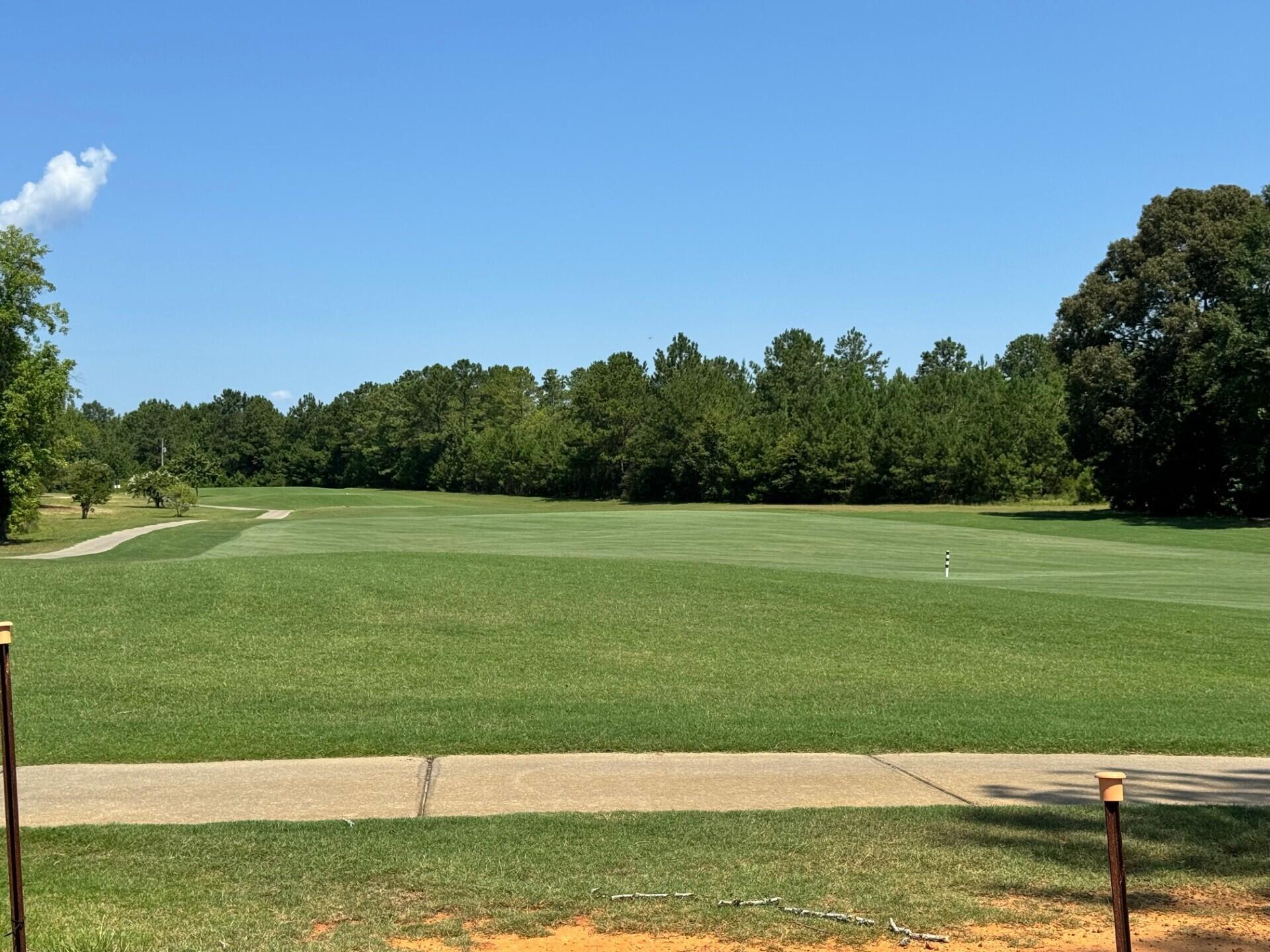 1000 Carolina Way Manning, SC 29102 - Photo 40 of 46 golf view 1