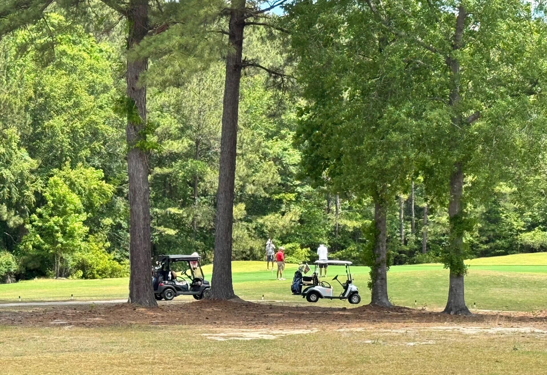 1000 Carolina Way Manning, SC 29102 - Photo 42 of 46 golfers