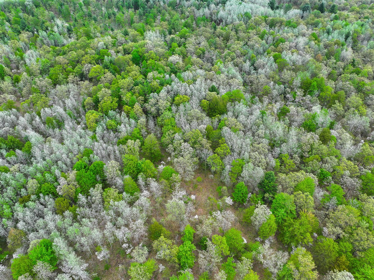 12.19 Rapp Drive Twin Lake, MI 49457 - Photo 12 of 48