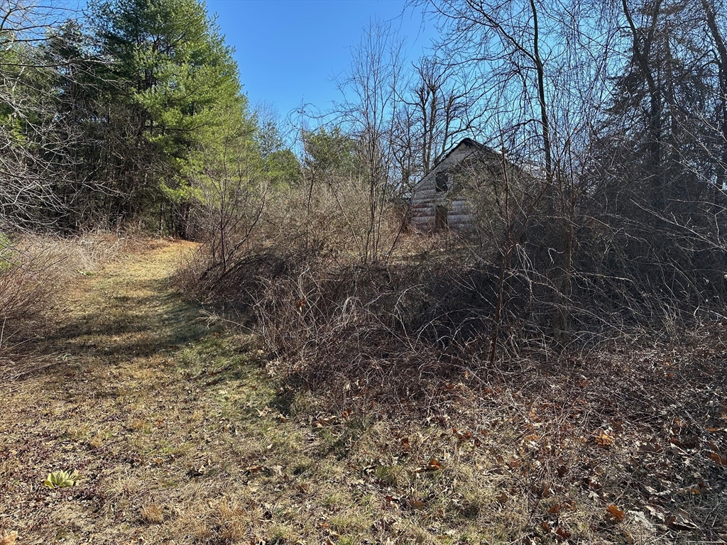 122 South Row Road Townsend, MA 01469 - Photo 1 of 5 a view of a forest with trees