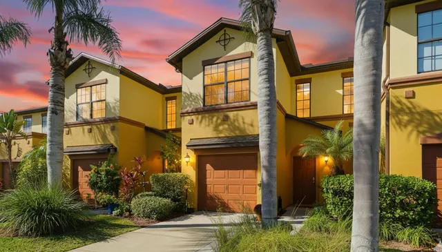 a view of a garden with plants