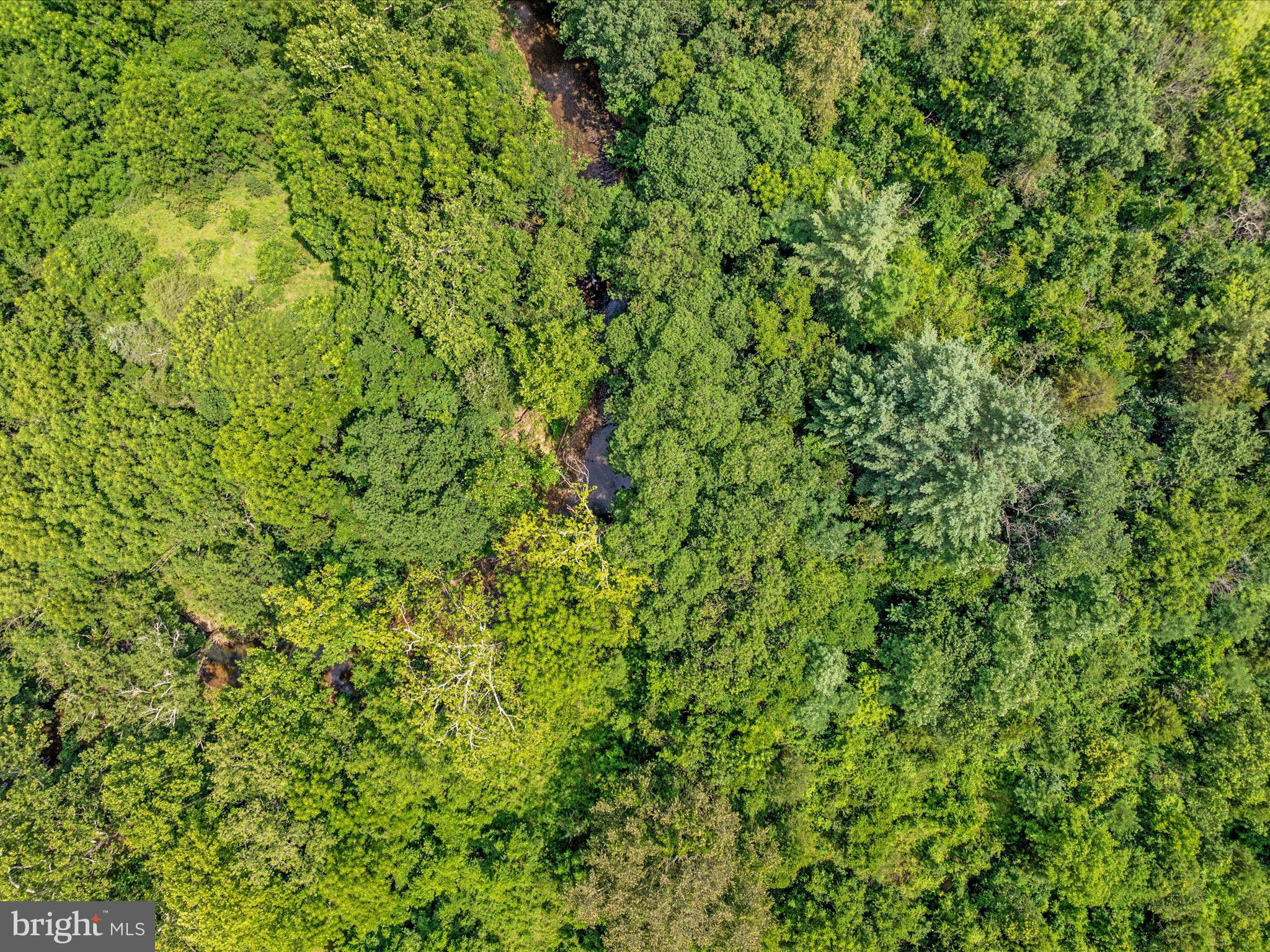 2335 St Davids Church Road Fort Valley, VA 22652 - Photo 54 of 66 Looking Down On Passage Creek