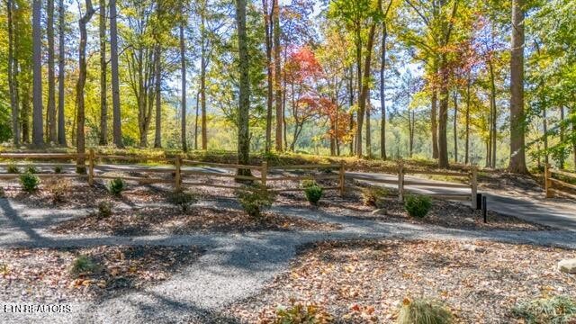 7217 Old Tuckaleechee Road Townsend, TN 37882 - Photo 47 of 51 Gallery Image 47