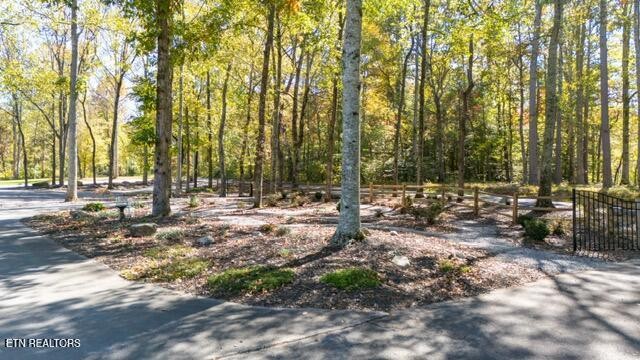 7217 Old Tuckaleechee Road Townsend, TN 37882 - Photo 48 of 51 Gallery Image 48