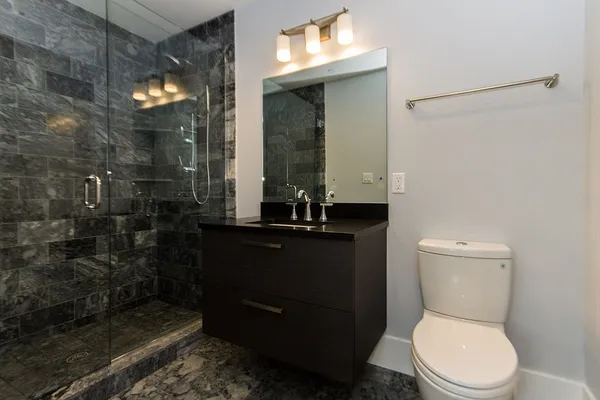 a bathroom with a toilet a sink a mirror and vanity