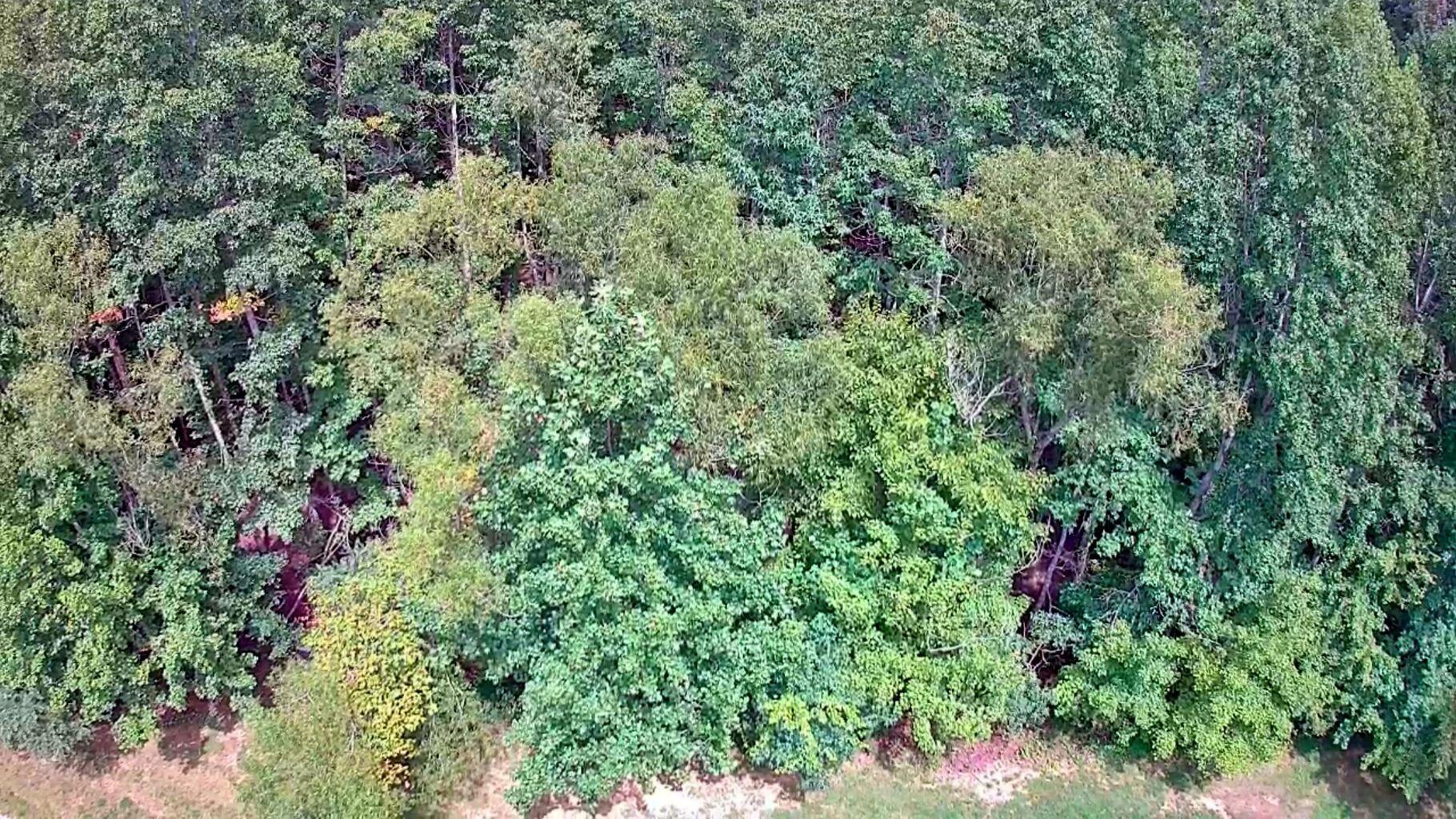 0 Hampton Way, Unit 41 Rising Fawn, GA 30738 - Photo 11 of 28 HW 12