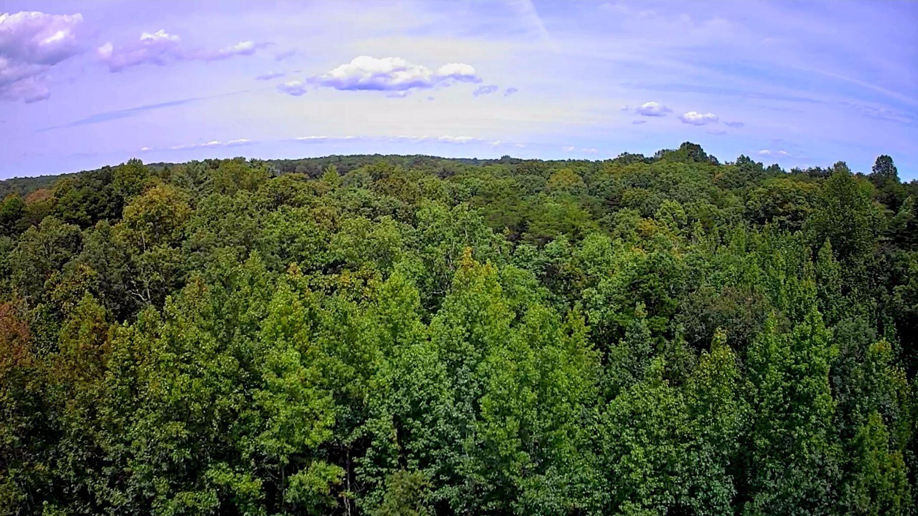 0 Hampton Way, Unit 41 Rising Fawn, GA 30738 - Photo 13 of 28 HW 14