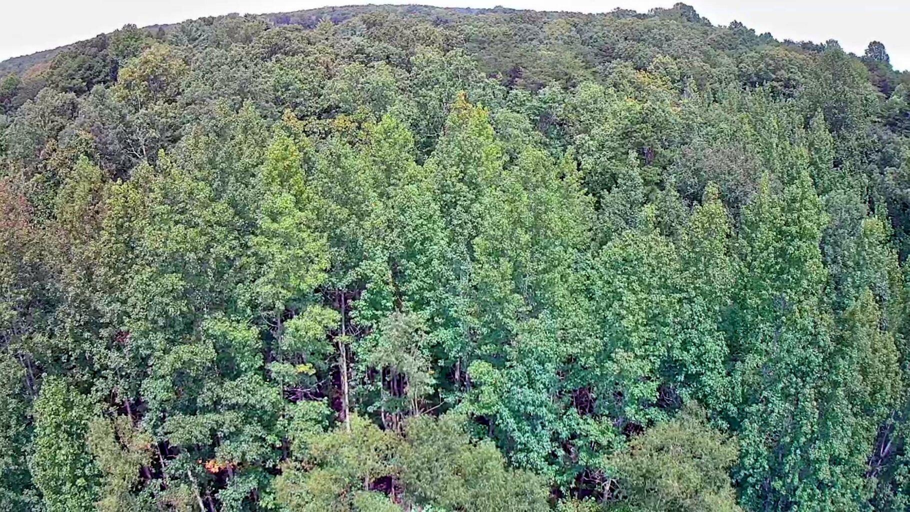 0 Hampton Way, Unit 41 Rising Fawn, GA 30738 - Photo 14 of 28 HW 15