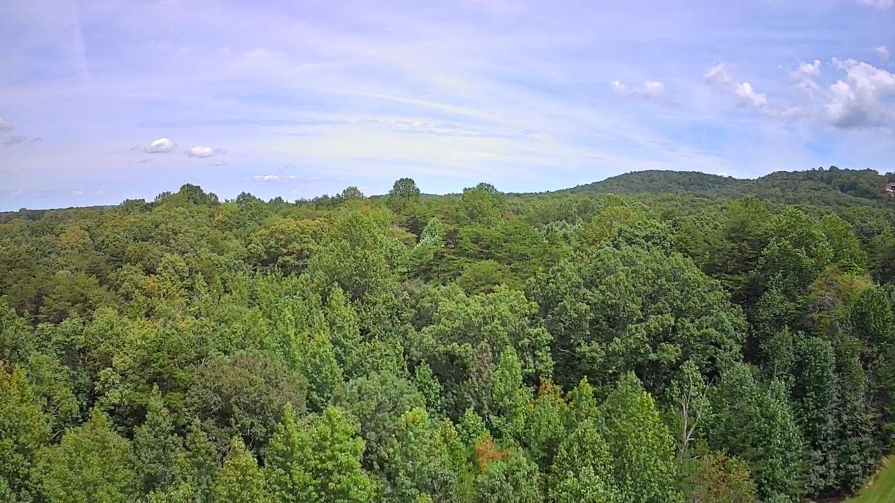 0 Hampton Way, Unit 41 Rising Fawn, GA 30738 - Photo 18 of 28 HW 19