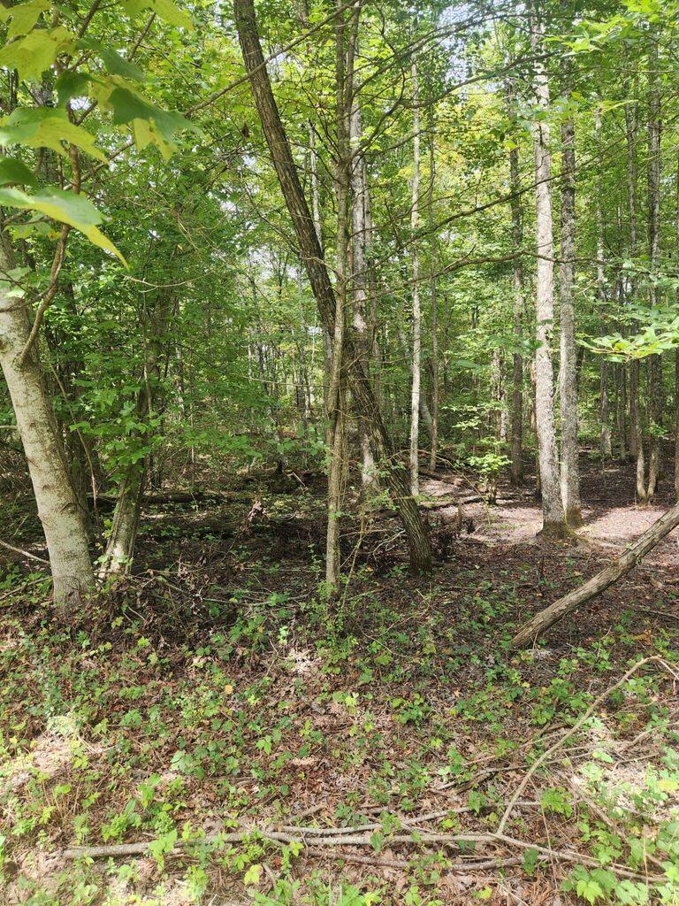 0 Hampton Way, Unit 41 Rising Fawn, GA 30738 - Photo 19 of 28 HW 20