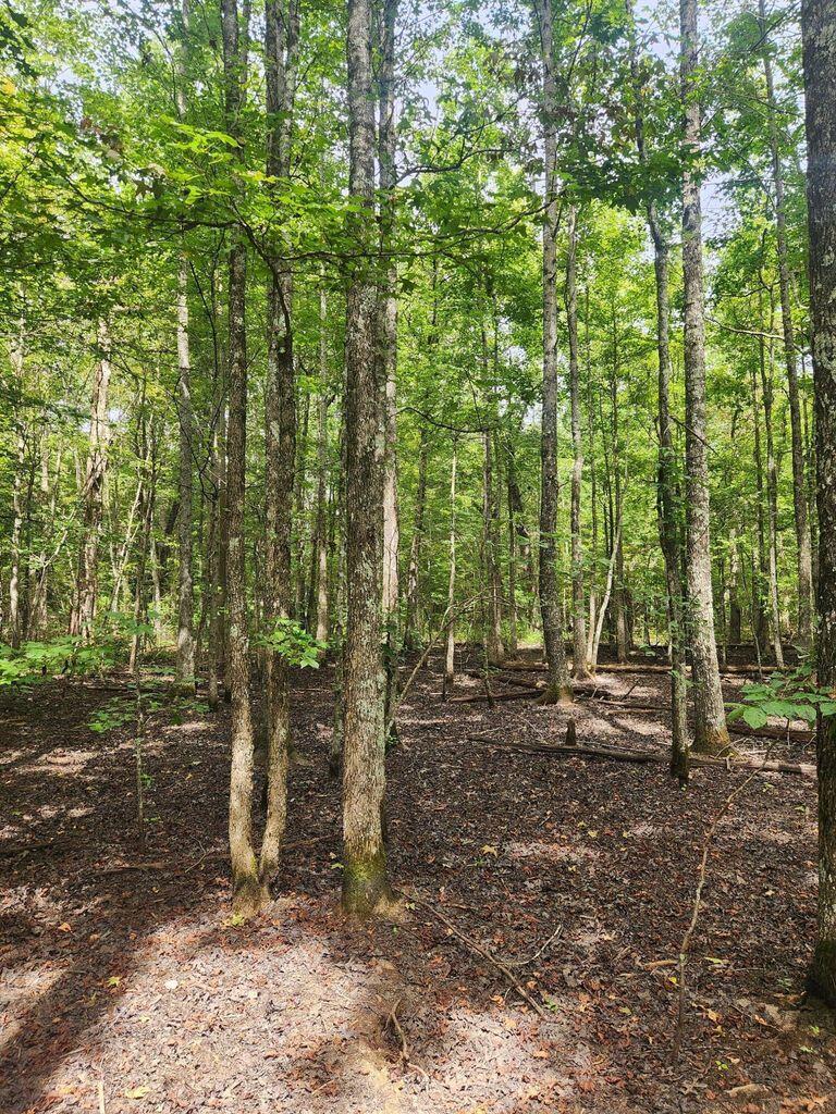 0 Hampton Way, Unit 41 Rising Fawn, GA 30738 - Photo 20 of 28 HW 21