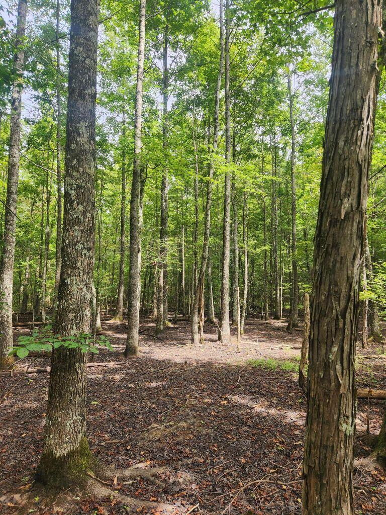 0 Hampton Way, Unit 41 Rising Fawn, GA 30738 - Photo 21 of 28 HW 22