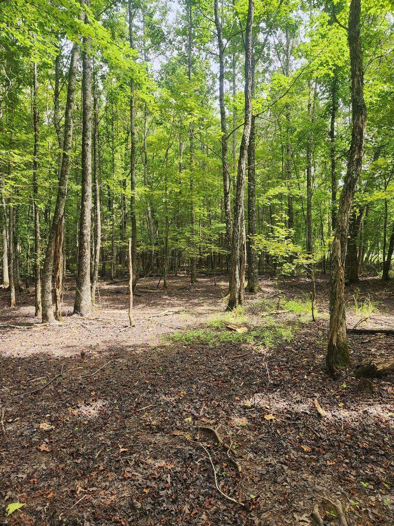 0 Hampton Way, Unit 41 Rising Fawn, GA 30738 - Photo 22 of 28 HW 23