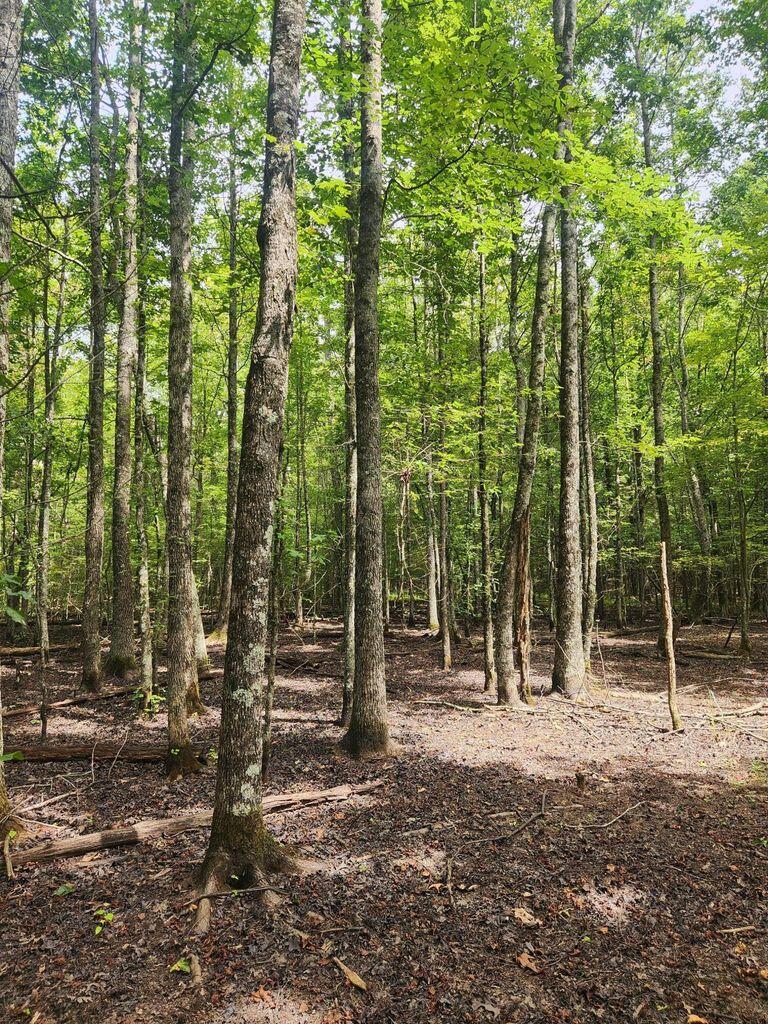 0 Hampton Way, Unit 41 Rising Fawn, GA 30738 - Photo 23 of 28 HW 24