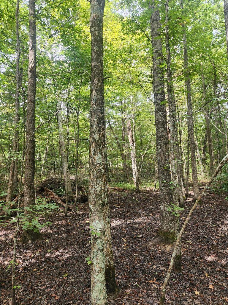 0 Hampton Way, Unit 41 Rising Fawn, GA 30738 - Photo 24 of 28 HW 25